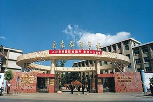 云南旅游職業(yè)學(xué)院五年制大專圖片