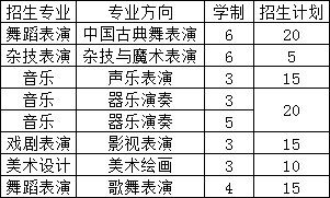 大連藝術(shù)學(xué)校招生計(jì)劃