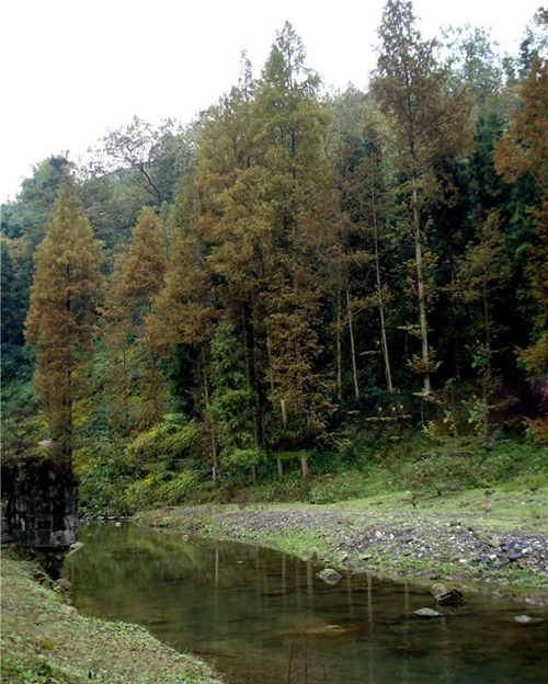 達(dá)州百島湖職業(yè)技術(shù)學(xué)校圖片、照片