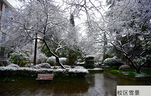 重慶春琿人文技工學(xué)校校區(qū)雪景圖片