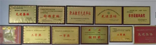 天柱縣中等職業(yè)學(xué)校學(xué)校榮譽(yù)1