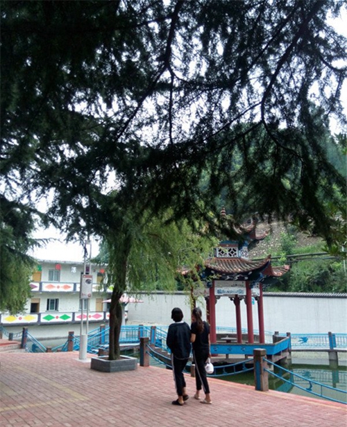 貴州水鋼技師學(xué)院(六盤水水鋼技校)校園一角