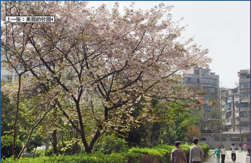 貴州省水利電力學(xué)校（清鎮(zhèn)水利電力學(xué)校）美麗的校園