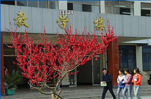 貴州省水利電力學(xué)校（清鎮(zhèn)水利電力學(xué)校）美麗的校園2