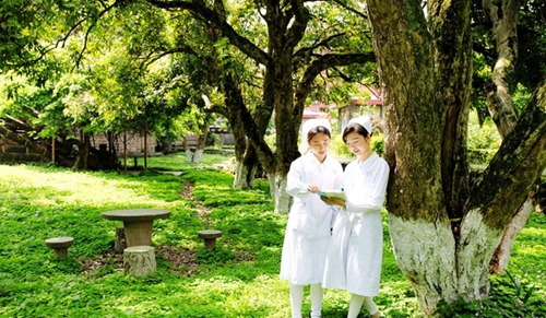 樂山市醫(yī)藥科技學校校園綠化