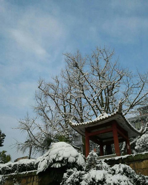 四川省鹽業(yè)學(xué)校校園雪景