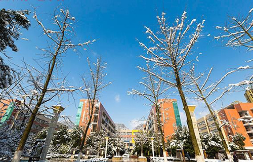 重慶南川隆化職業(yè)中學校校園雪景（3）