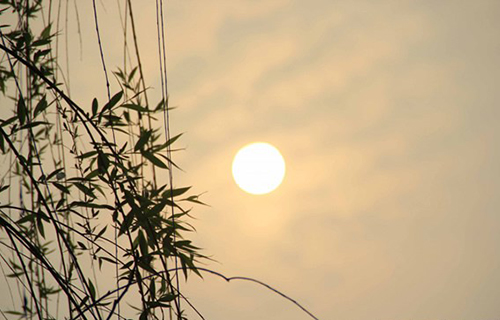 重慶行知職業(yè)技術(shù)學(xué)校夕陽