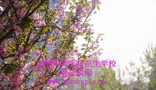 成都華大醫(yī)藥衛(wèi)生學(xué)校春之校園