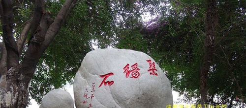 成都華大醫(yī)藥衛(wèi)生學(xué)校校園石