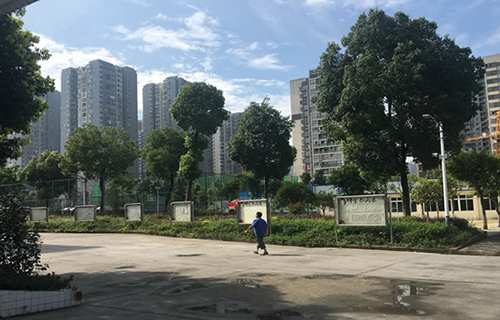 重慶市聯(lián)合技工學校校園一隅