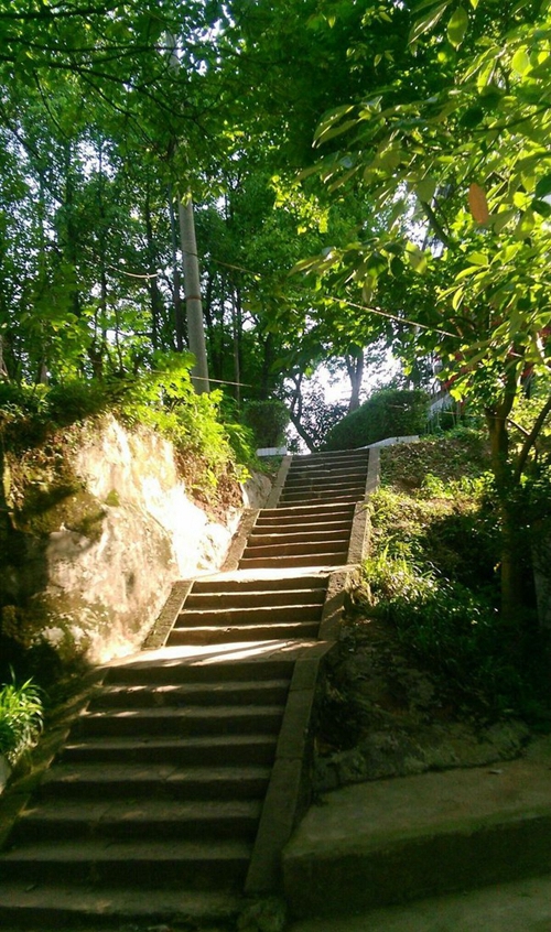 宜賓縣科普職業(yè)技術(shù)學(xué)校校園道路