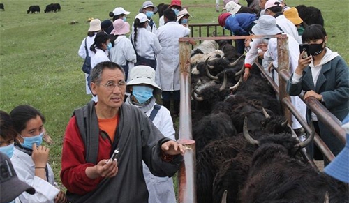 阿壩州中等職業(yè)技術(shù)學(xué)校實習(xí)