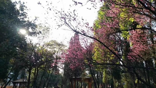 貴陽(yáng)電子職業(yè)學(xué)校公園式校園