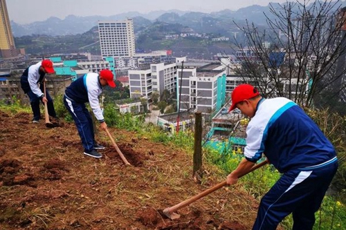 四川省敘永縣職業(yè)高級中學校挖坑