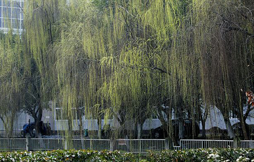 重慶三峽職業(yè)學(xué)院夏日校園