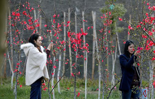 重慶三峽職業(yè)學(xué)院校園春色