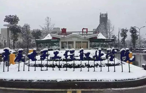 重慶電子工程職業(yè)學(xué)院校園雪景