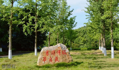 重慶傳媒職業(yè)學院校園石