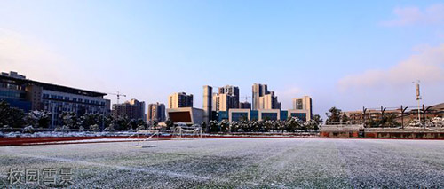 重慶水利電力職業(yè)技術(shù)學(xué)院校園雪景