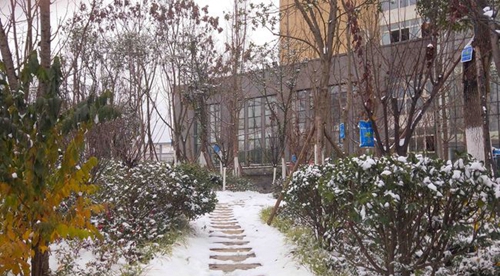 遵義職業(yè)技術學院校園雪景2