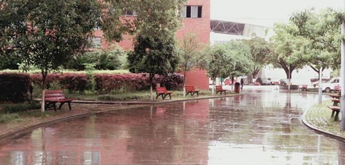 四川省江油一中校園晨雨