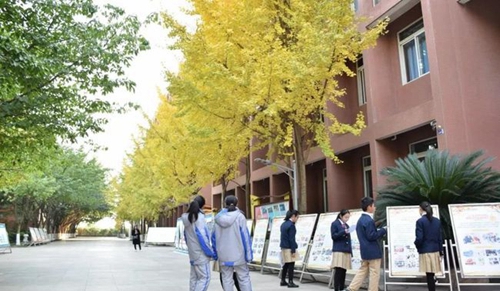 電子科技大學(xué)實(shí)驗(yàn)中學(xué)校園展板