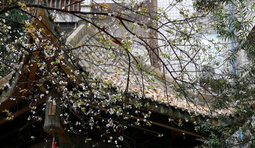 四川省簡陽中學(xué)西校區(qū)小公園