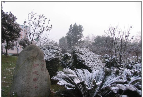 成都市鹽道街外語(yǔ)學(xué)校校園雪景