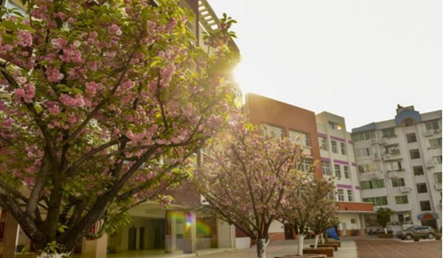 四川省廣元市元壩中學(xué)校園風(fēng)景1