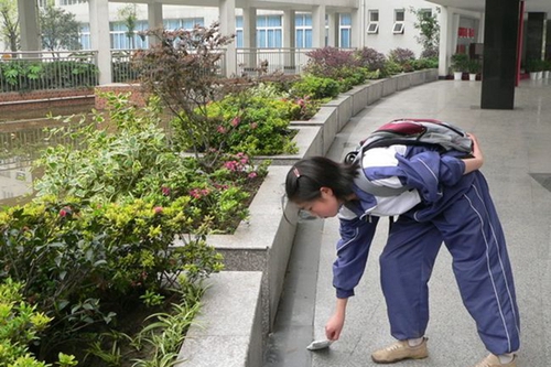 四川省成都市龍泉中學(xué)校校園是我家