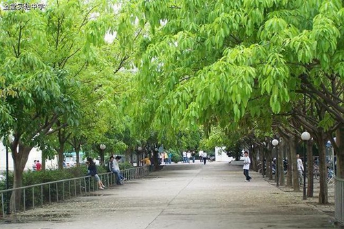 四川省金堂實驗中學校園日常