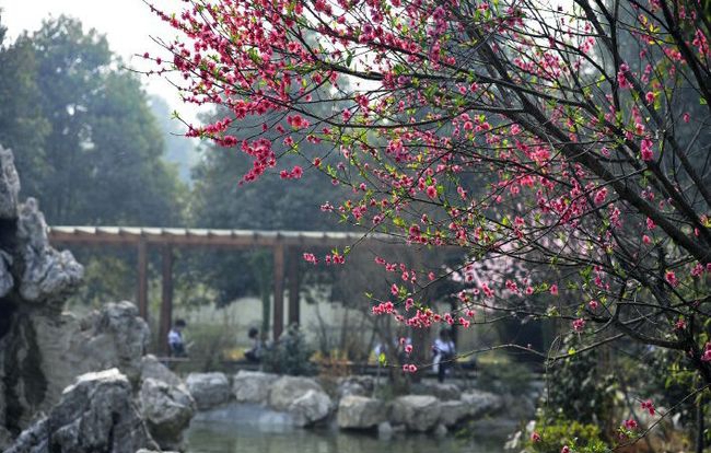 成都外國語學校國際部(AP國際課程)中華園