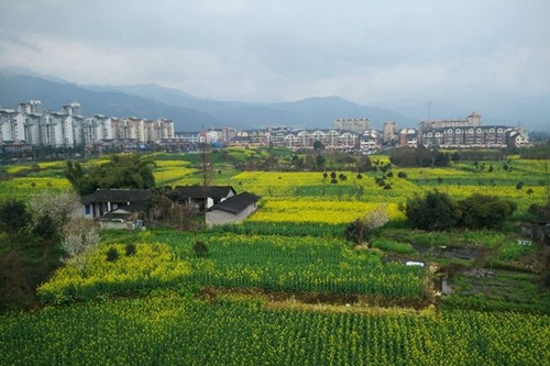 都江堰育才學(xué)校校園周邊