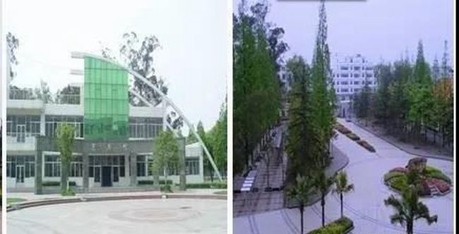 四川省成都市郫都區(qū)第一中學(xué)校園景色