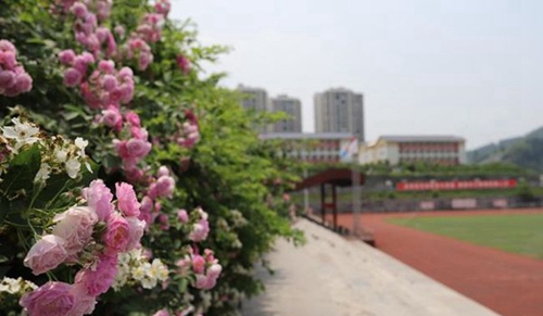 四川成都七中東方聞道網(wǎng)校校園景色