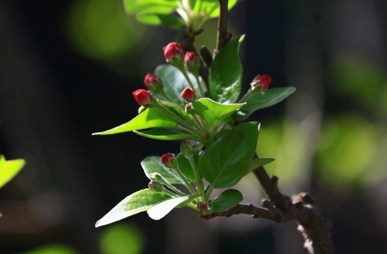 德江縣中等職業(yè)學(xué)校