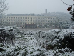 校園雪景