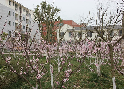 鄭州鄭中國際學(xué)校