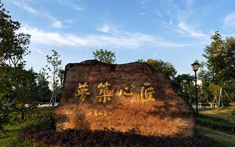 重慶市三峽衛(wèi)生學(xué)校一般有哪些專業(yè)?臨床中醫(yī)專業(yè)就業(yè)怎么樣