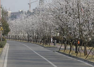 太原口腔衛(wèi)生學(xué)校2023年招生人數(shù)是多少-好不好呢