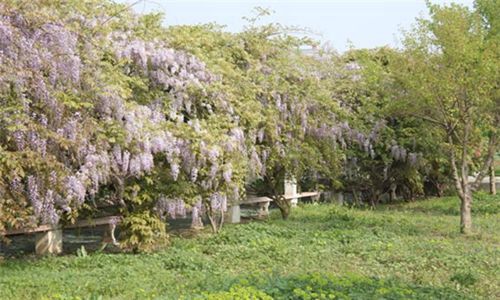 武漢航海職業(yè)技術(shù)學(xué)院藥劑專業(yè)好嗎