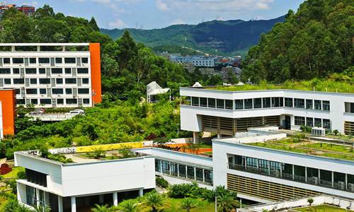 重慶大學城市科技學院市場營銷專業(yè)簡介