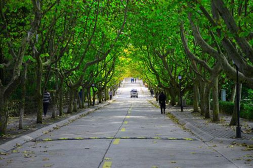 平頂山工業(yè)職業(yè)技術(shù)學(xué)院建筑電氣工程技術(shù)專業(yè)介紹