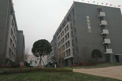 廈門2023量子信息科學專業(yè)學什么 主要課程有哪些