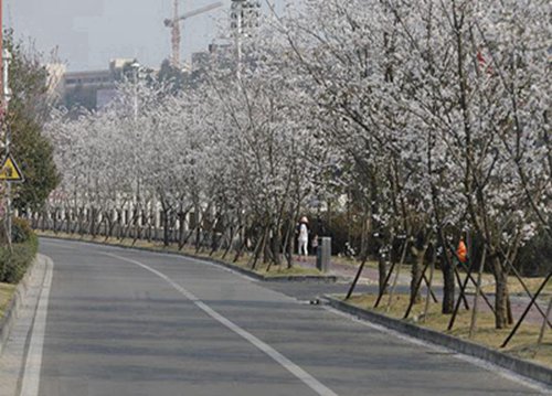 四川2023年初中生能上計(jì)算機(jī)學(xué)校嗎